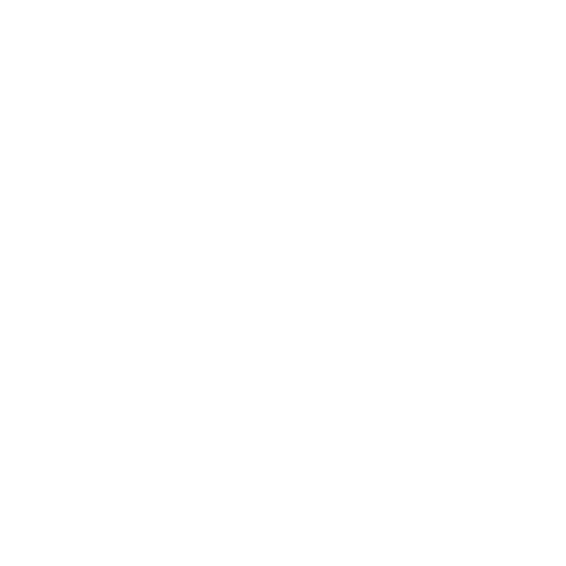 Swarovski